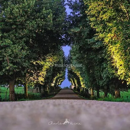 Domaine De La Revardiere - Le Perche - 600m2 - 18 Couchages - Piscine Βίλα