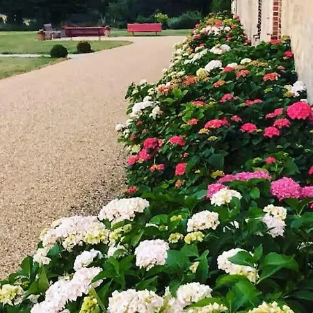 וילה Domaine De La Revardiere - Le Perche - 600m2 - 18 Couchages - Piscine *