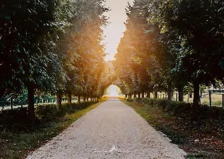 וילה Domaine De La Revardiere - Le Perche - 600m2 - 18 Couchages - Piscine *