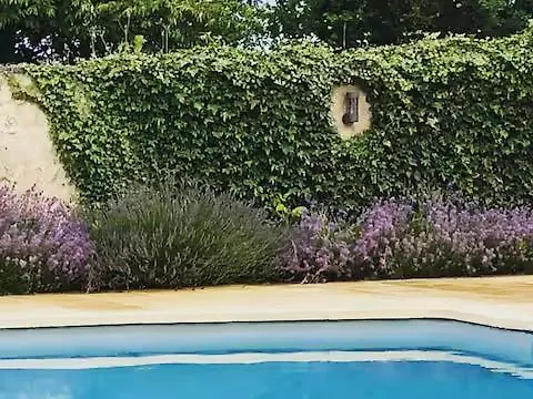 Domaine De La Revardiere - Le Perche - 600m2 - 18 Couchages - Piscine *