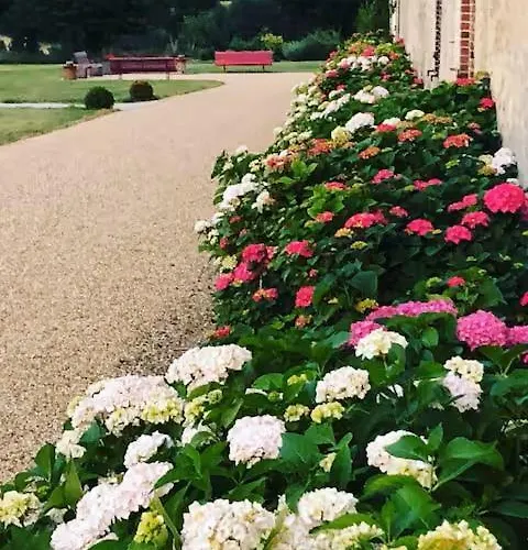 Вилла Domaine De La Revardiere - Le Perche - 600m2 - 18 Couchages - Piscine *