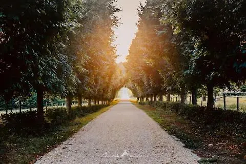 Вилла Domaine De La Revardiere - Le Perche - 600m2 - 18 Couchages - Piscine *